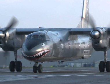 Βίντεο: Ρωσικό αεροσκάφος συγκρούεται με ελάφι